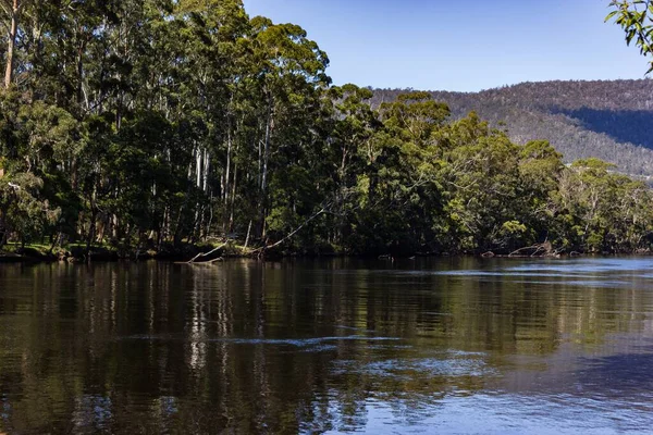 Hermoso tiro de un lago con los reflejos de los árboles y el cielo en Australia. — Foto de Stock