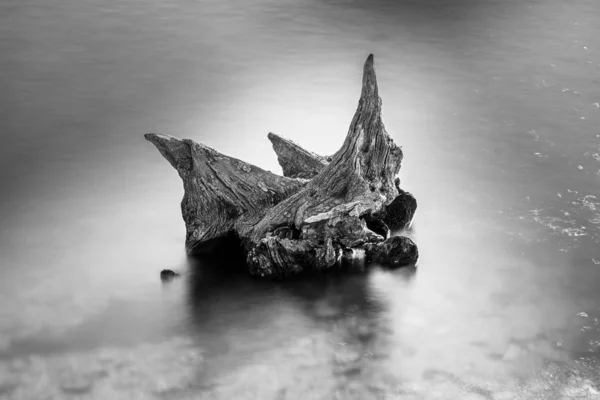 Captura en escala de grises de gran angular de un trozo de madera en el mar —  Fotos de Stock