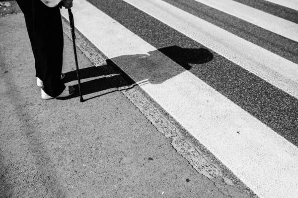 Scatto in scala di grigi di una persona che tiene un bastone in piedi accanto alla zebra che attraversa la strada — Foto Stock