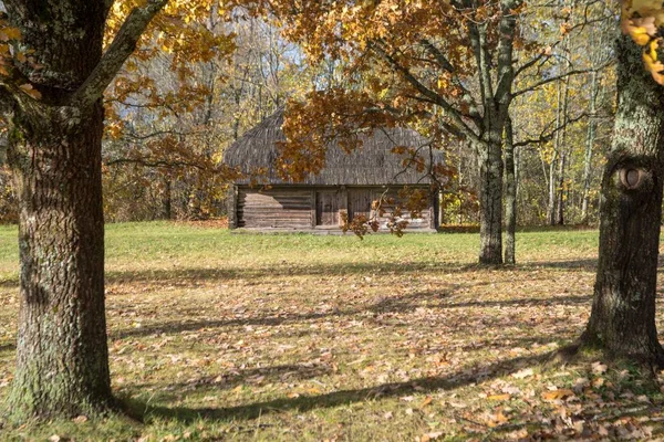 Ormandaki ahşap kulübe sonbahar yapraklı ağaçlarla çevrili. — Stok fotoğraf