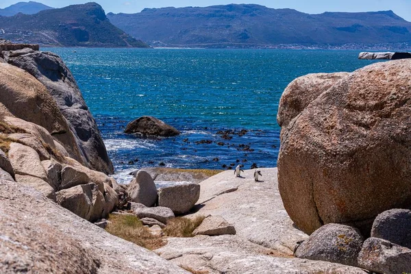 Сцена пляжа, заполненного камнями, на мысе Доброй Надежды, Кейптаун, Южная Африка — стоковое фото