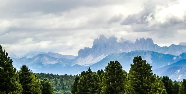 Amplio plano del impresionante bosque y las montañas bajo el hermoso cielo nublado — Foto de Stock