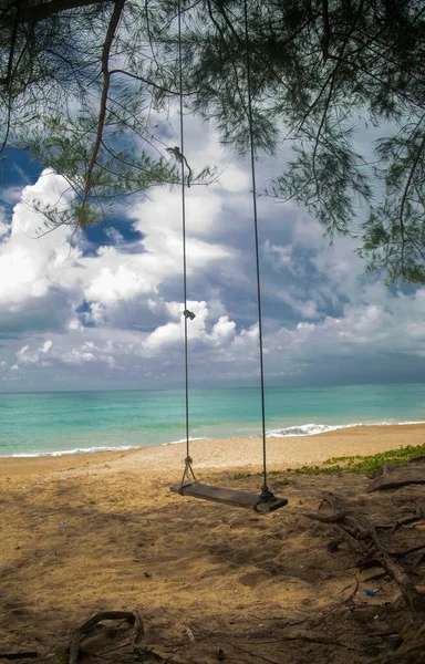 Schöne Aufnahme einer Schaukel, die an einem Baum am Strand unter dem wolkenverhangenen Himmel hängt — Stockfoto