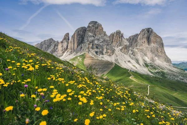 Снимок скалы под низким углом посреди поля, полного цветов в Доломитах, Италия — стоковое фото