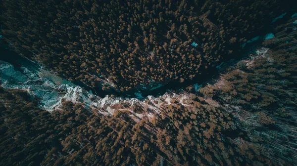 Colpo ad angolo alto di un fiume che attraversa una foresta tropicale piena di alberi — Foto Stock