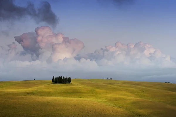 Himmel och cypresser — Stockfoto