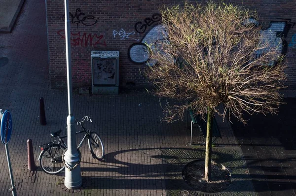 Amsterdam Caddelerinde Bisiklet ve Ağacın Uzun Gölgesi — Stok fotoğraf