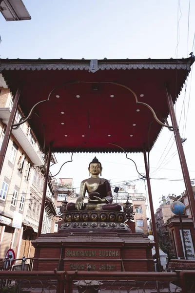 Colpo Verticale Della Statua Buddha Mezzo Agli Edifici — Foto Stock