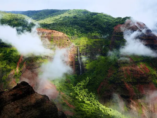 木々に覆われた壮大な霧の山と崖の息をのむような景色 — ストック写真