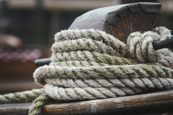 Closeup Shot White Rope Tied Wood Blurred Background — 스톡 사진