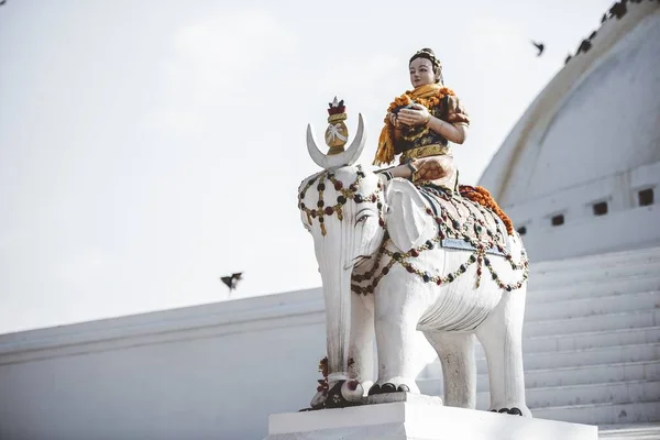 Gros Plan Une Statue Bouddhiste Fond Flou Népal — Photo