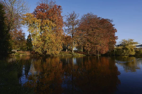 Beautiful Scenery Trees Reflected Lake Blue Sky — 스톡 사진