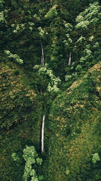 Vertikal Bild Hisnande Bergen Täckt Med Träd Fångade Kauai Hawaii — Stockfoto