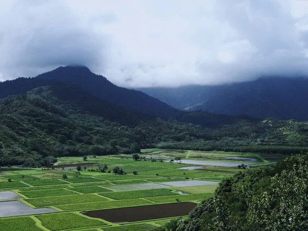 Beautiful View Green Fields Magnificent Foggy Mountains Background — Stock Photo, Image