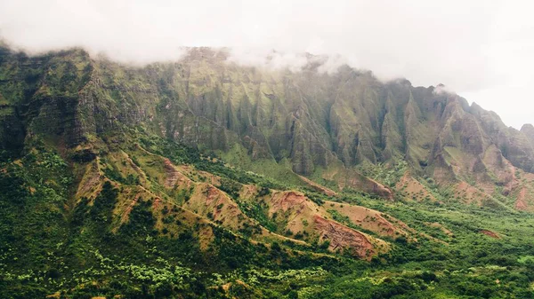 Una Vista Impresionante Las Montañas Niebla Cubiertas Árboles Capturados Kauai —  Fotos de Stock