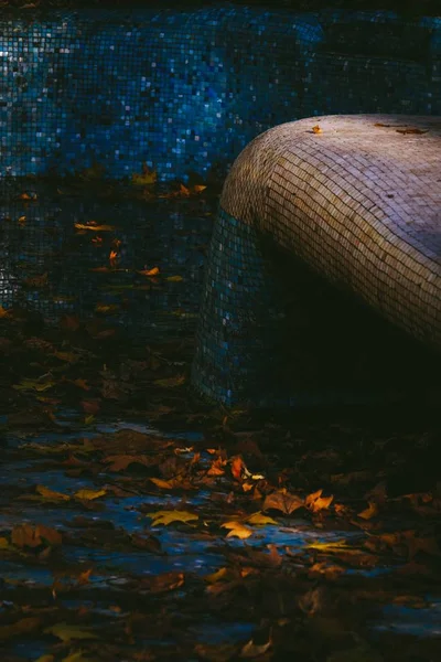 Bel Colpo Foglie Autunnali Colorate Sulla Superficie Dell Acqua Piscina — Foto Stock