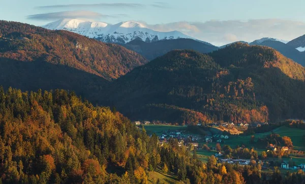 Vacker Natur Gröna Träd Omgivna Höga Berg Bled Slovenien — Stockfoto