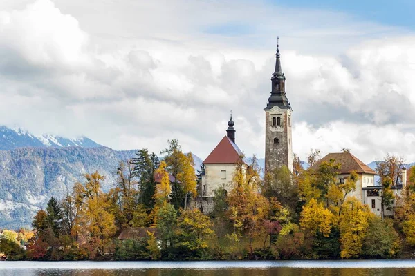 슬로베니아 근처의 나무들로 둘러싸인 역사적 — 스톡 사진