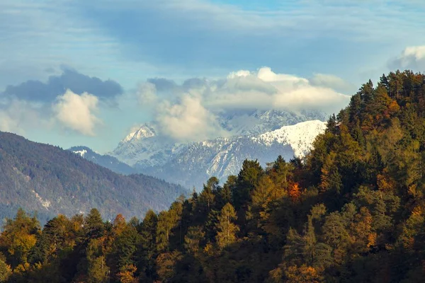 スロベニアのBledの高い山に囲まれた緑の木の美しい景色 — ストック写真