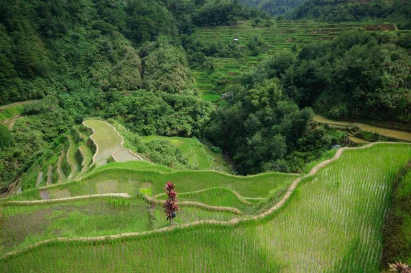 Hoge hoek opname van een prachtig landschap in Banaue Rice Terraces, provincie Ifugao, Filipijnen — Stockfoto
