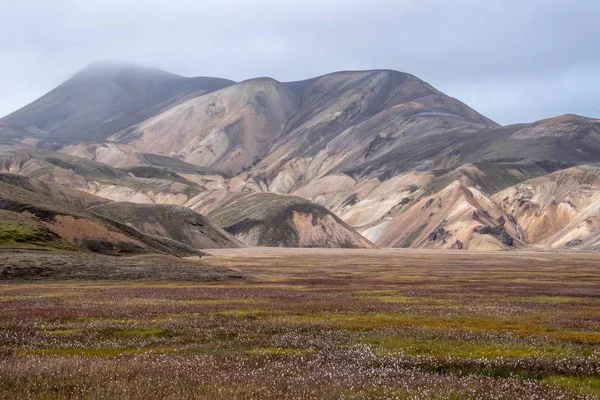 Μια Όμορφη Εικόνα Μιας Κοιλάδας Στην Ισλανδία Βουνά Στο Βάθος — Φωτογραφία Αρχείου