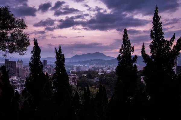 Eine Atemberaubende Aufnahme Hoher Bäume Mit Dem Stadtbild Von Beitou — Stockfoto