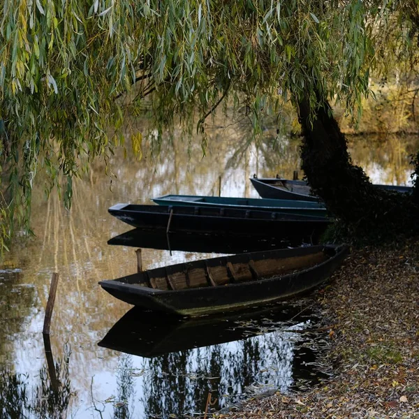 Una Morera Reflejándose Lago Junto Botes Estacionados Medio Bosque Otoñal —  Fotos de Stock