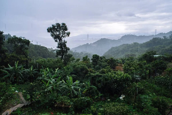 Tiro de ângulo alto de uma bela paisagem com muitas árvores verdes e montanhas sob céu nublado — Fotografia de Stock