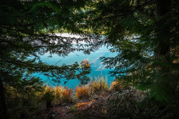 Ein Hochwinkelschuss Vom Seeufer Auf Versunkene Baumstämme Verlorener See Pfeifer — Stockfoto