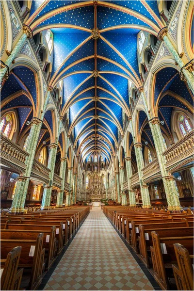 Vertical Low Angle Shot Interior Notre Dame Cathedral Basilica Ottawa — 스톡 사진