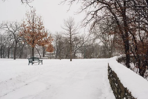 Vacker Bild Parken Täckt Med Snö Kall Vinterdag — Stockfoto