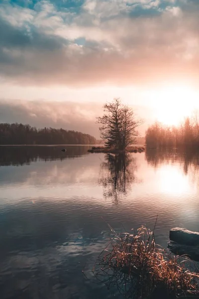 Plan Vertical Reflet Des Arbres Dans Lac Jour Capturé Suède — Photo
