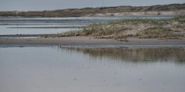 Ein Atemberaubender Blick Auf Den Strand Und Das Meer Unter — Stockfoto