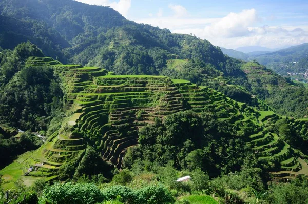 Foto ad angolo alto di un bellissimo paesaggio a Banaue Rice Terraces, Provincia di Ifugao, Filippine — Foto Stock