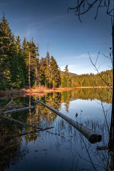 ウィスラー、 BCカナダの澄んだ空の下で失われた湖に反映された美しい緑の風景 — ストック写真