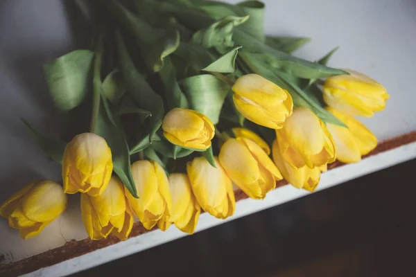 Closeup shot of beautiful yellow tulips on a white ground