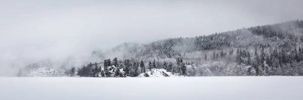 Panoráma felvétel egy völgyről, amelyet hó borít az erdőben egy ködös téli napon. — Stock Fotó