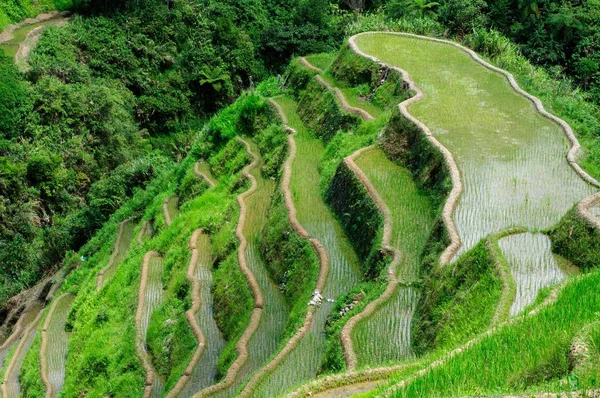 Fotografia de alto ângulo de uma bela paisagem em Banaue Rice Terraces, Província de Ifugao, Filipinas — Fotografia de Stock