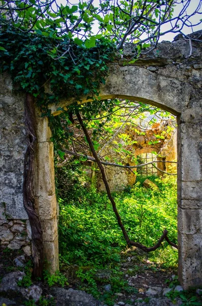 Tiro vertical de una entrada de jardín que conduce a una hermosa aventura verde — Foto de Stock