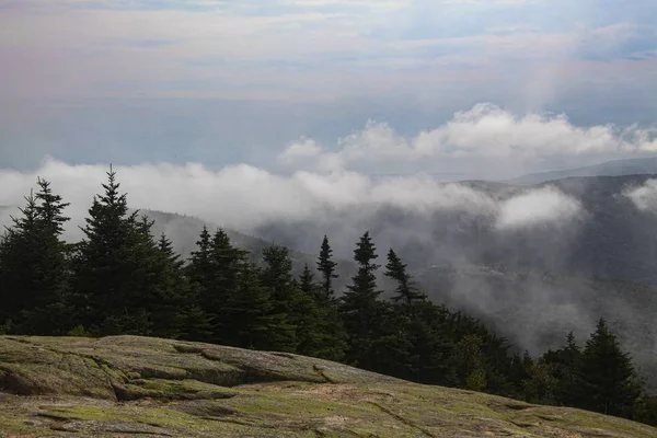 Blick Auf Einen Latschenkiefernwald Mit Schweren Grauen Wolken Und Nebel — Stockfoto