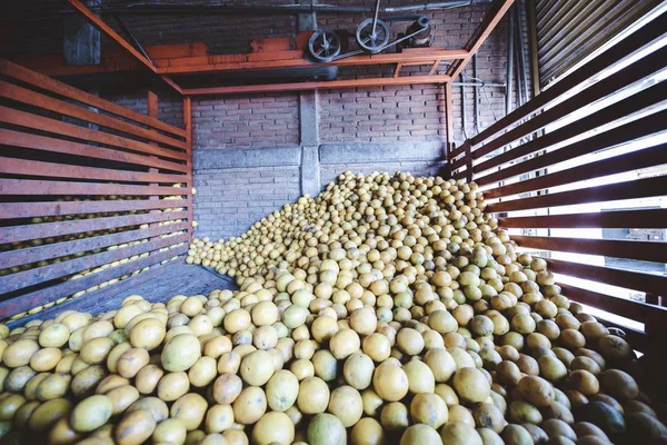 A closeup shot of fruits in the warehouse