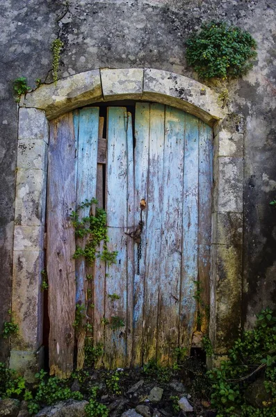 Scatto verticale di un ingresso al giardino che conduce ad una bella avventura verde — Foto Stock