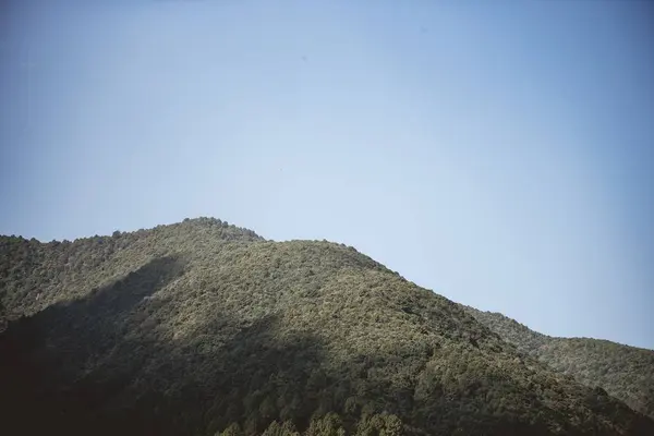 Гарний Знімок Лісистих Гір Блакитним Небом Задньому Плані — стокове фото