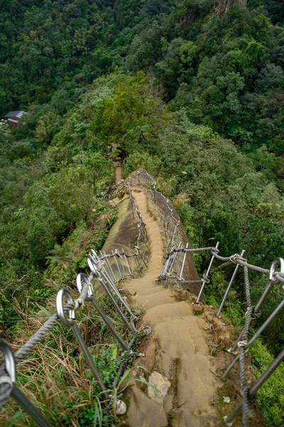 コンクリートの階段と太い緑の木で台湾の平渓岩場の美しい景色 — ストック写真