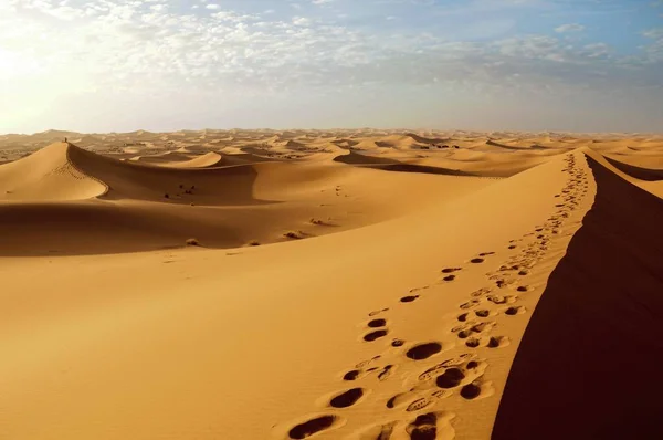 Increíble vista de un hermoso desierto al atardecer bajo el cielo nublado — Foto de Stock