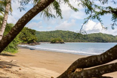 A beautiful scenery of a sandy beach with the waves of the ocean moving towards the shore in Santa Catalina, Panama clipart