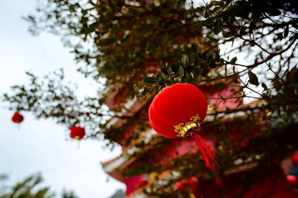 Låg vinkel skott av en kinesisk röd prydnad hängande på ett träd med en suddig bakgrund i Hongkong — Stockfoto