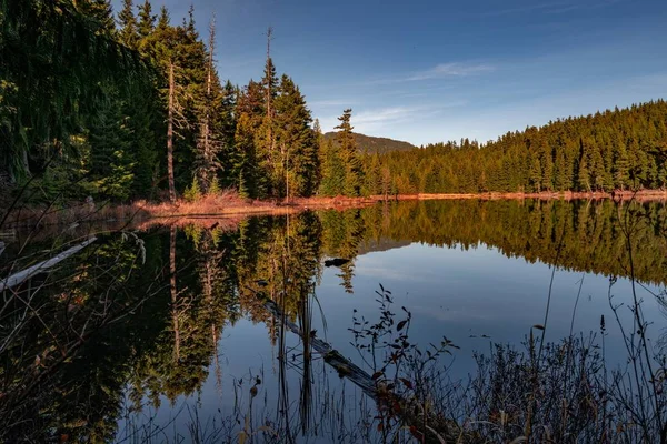 Beau paysage vert reflétant dans le lac Perdu sous le ciel clair à Whistler, BC Canada — Photo
