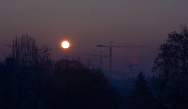 Lélegzetelállító Kilátás Vastag Fák Építési Daruk Nap Lenyugvó Háttérben — Stock Fotó