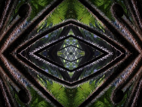 Barevné Abstraktní Chladné Pozadí Vytvořené Zrcadlením Různých Druhů Rostlin Stromů — Stock fotografie